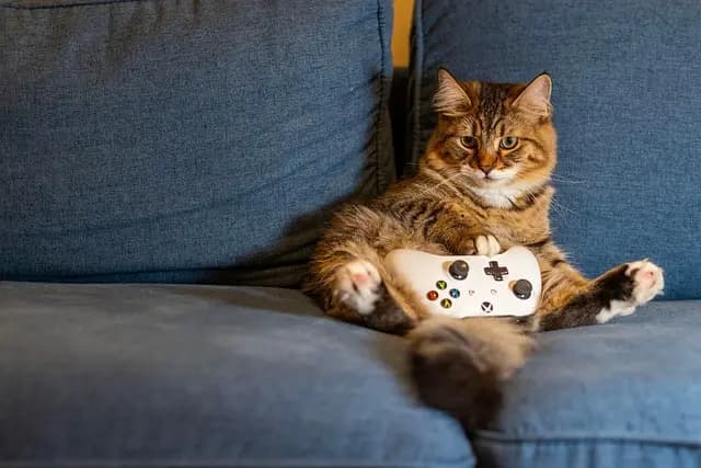 Las Mejores Consolas de Videojuegos que Debes Probar